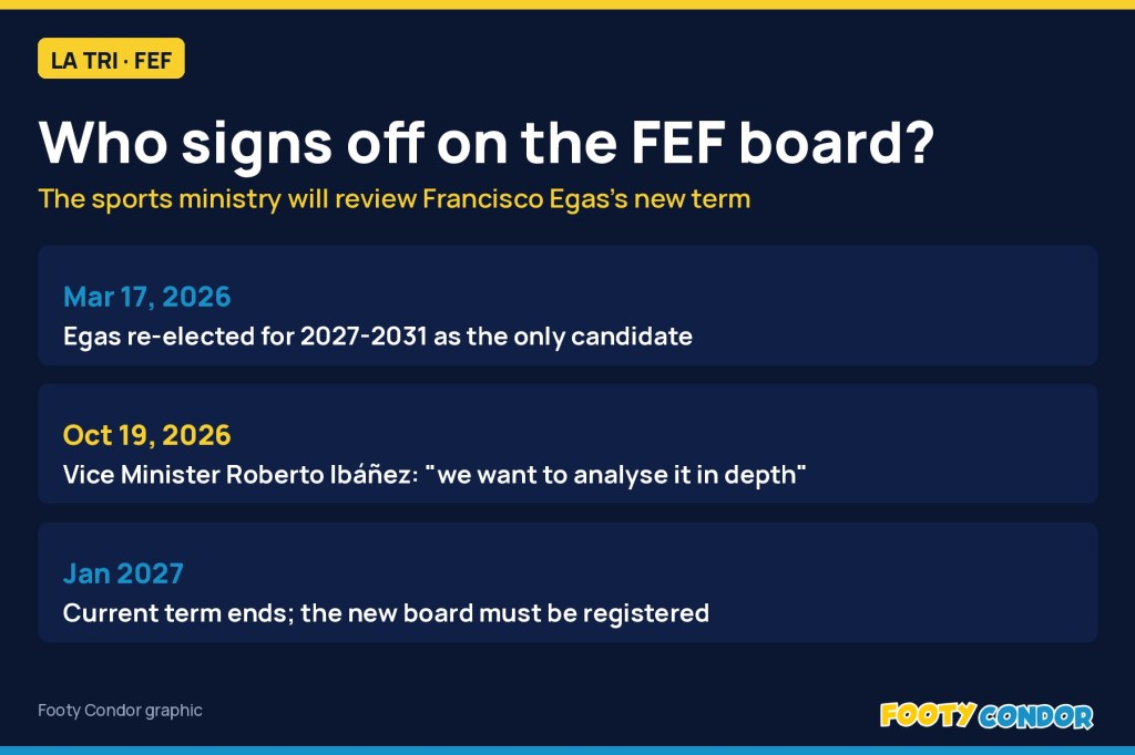 Sports ministry to examine whether Egas’s new FEF term breaks the two-term&nbsp;limit