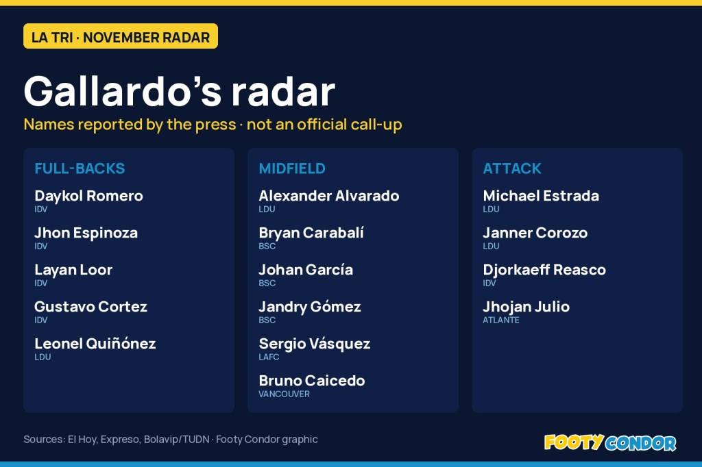 Gallardo’s November radar: the full-backs, holding midfielders and strikers La Tri is&nbsp;watching