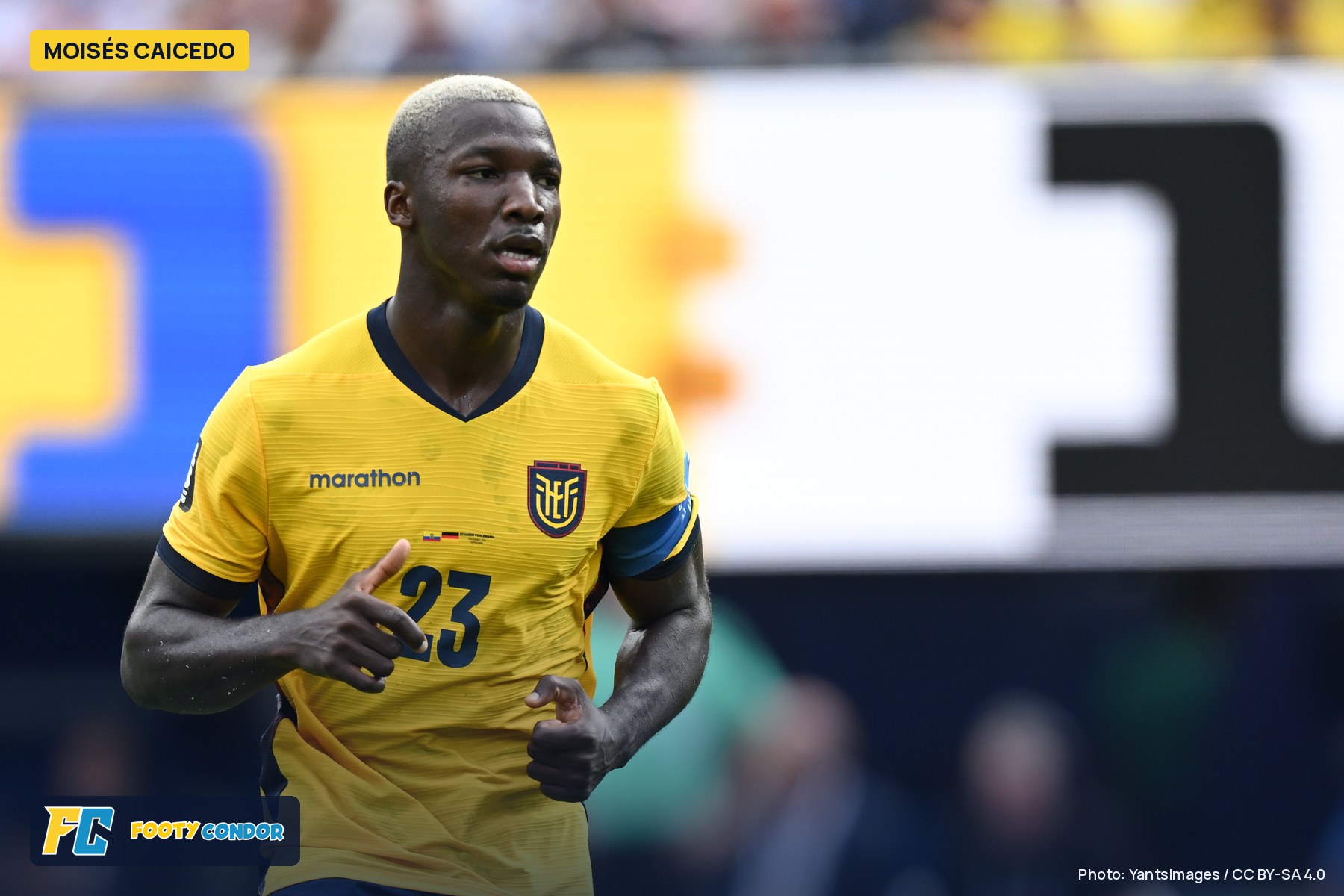 Moisés Caicedo running in Ecuador's yellow number 23 shirt during the 2026 World Cup match against Germany